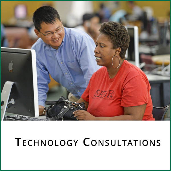 Technology Consultations