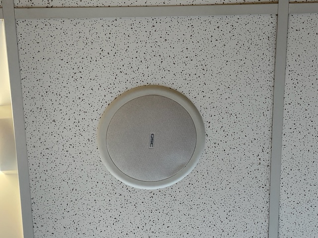 Ceiling mounted speaker