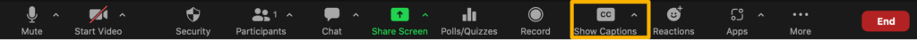 Zoom Meeting Toolbar includes a Show Captions button.