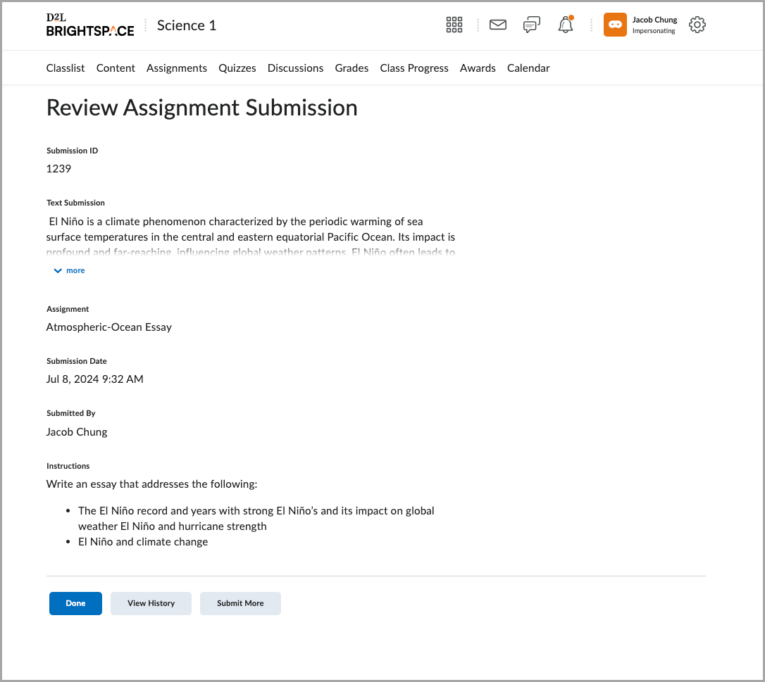 The Review Assignment Submission page in Brightspace, showing submission details for an essay. The email status message is absent in this view.